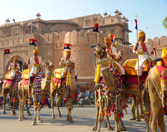 camel festival