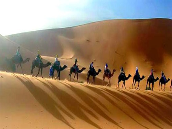 rajasthan desert safari